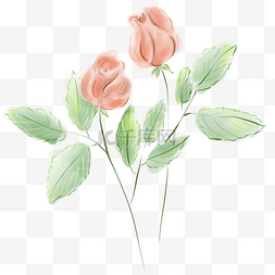 春天开的花朵图片_水粉两张未开的玫瑰