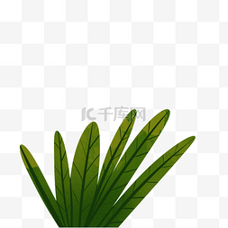 树枝叶图片_绿色的植物免抠图