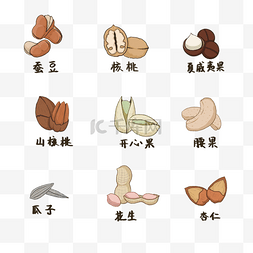 卡通兰花图片_卡通坚果图标