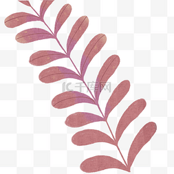 花纹底纹装饰图片_叶子自然枝叶植物