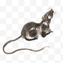 2020鼠年仰头的小老鼠