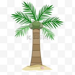 绿色椰子树木