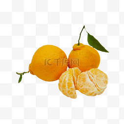 水果蜜桔图片_橘子蜜桔