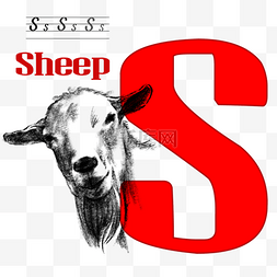 手绘字母s图片_字母动物素描插画羊