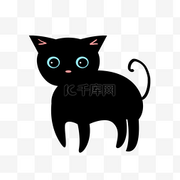 哺乳动物黑猫