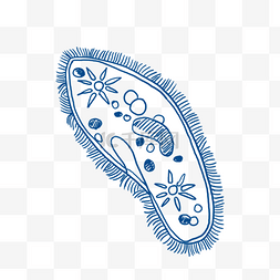生物学细胞图片_手绘蓝色线描生物学细胞插画元素