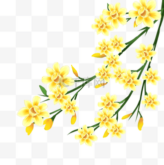 春天迎春花图片_春天迎春花素材-春天迎春花图片大全-千库网