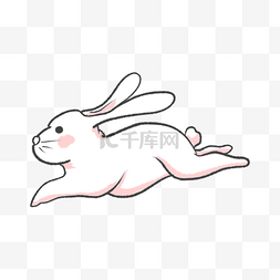 奔跑的兔子图片_可爱跳跃奔跑的兔子