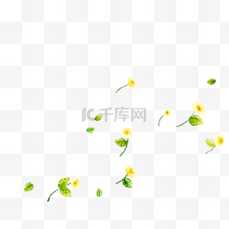 初夏焕新艺术字图片_黄色的花朵免抠图