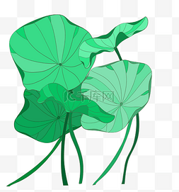 荷叶夏季主题手绘风格绿色植物