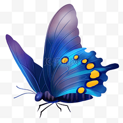 昆虫主题图片_春天颜色艳丽的蝴蝶写实电商免扣