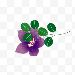 紫色的花朵和植物免抠图