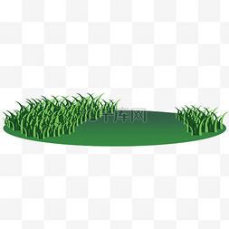 茂密草地图片_茂密的绿色草地插图