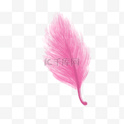 粉色唯美羽毛