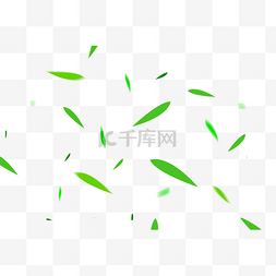 竹叶图片_漂浮竹叶绿色树叶