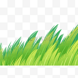 绿色野草图片_绿色生活草地草坪
