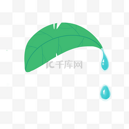 绿色水滴树叶图片_叶子水滴