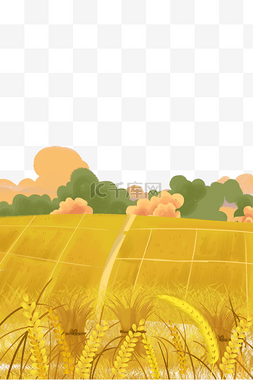 秋天丰收稻田麦子