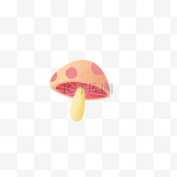 一朵红色的蘑菇