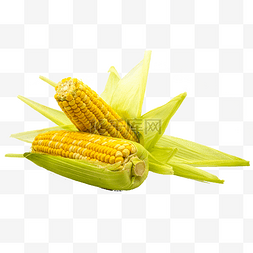 黄白色的食物图片_有机食物黄玉米