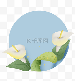 植物花卉标题框图片_圆形马蹄莲花卉提示框