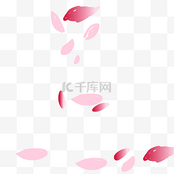 粉色花瓣漂浮设计装饰