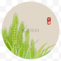 小满秧奔24节气小满习俗传统