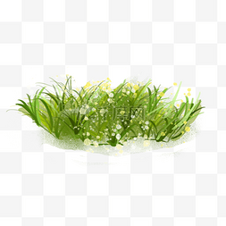 小草绿植