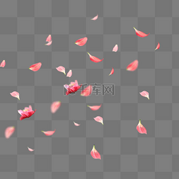粉色花瓣漂浮素材图片_漂浮的粉色花瓣