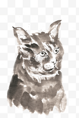 手绘写实宠物图片_机敏的小猫水墨画PNG免抠素材