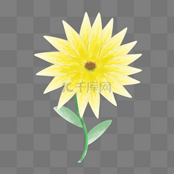 一朵黄色花朵插画