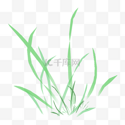 绿色水生植物图片_水生植物