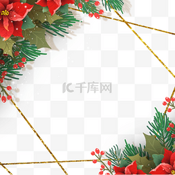 红色圣诞花图片_christmas poinsettia圣诞花金线边框