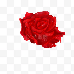 红色的玫瑰图片_卡通红色的玫瑰免扣图