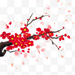 樱花花瓣图片_冬天梅花樱花花瓣新年