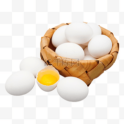 营养食材土鸡蛋