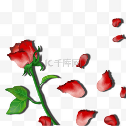 红色玫瑰背景图片_卡通红色玫瑰花瓣情人节装饰