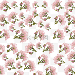 粉色花朵纹理图片_康乃馨水彩底纹纹理