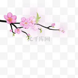 中国春天粉红色鲜花绿叶分支机构