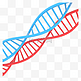 科研基因染色体