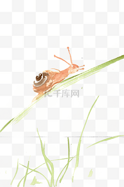 爬行的蜗牛图片_草叶上的蜗牛