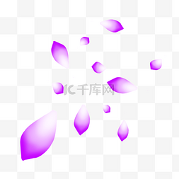 紫色唯美花瓣