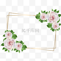 玫瑰印花图图片_栀子花金线边框水彩线条