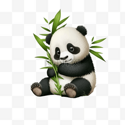 一只可爱的大熊猫抱着竹子