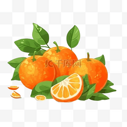 柑橘水果图片_卡通手绘水果柑橘