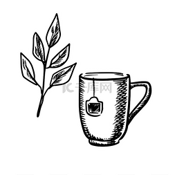 素描茶杯图片_用茶袋和新鲜茶叶的小枝制成的茶