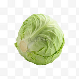 白菜包素食球体绿色