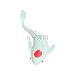 日本卡通鱼图片_Tancho 鲤鱼锦鲤鱼, 传统的日本圣鱼
