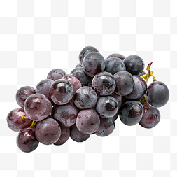蓝莓水果图片_蓝莓葡萄