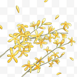 茉莉花瓣图片_黄色水彩风格迎春花植物